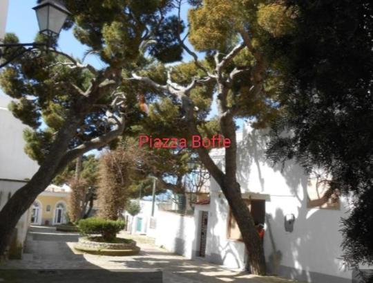 Dimora Di Donna Rita Anacapri (Isola di Capri) Exterior photo
